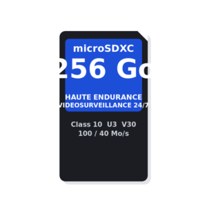 Carte microSD 256 Go Haute Endurance — Spéciale vidéosurveillance